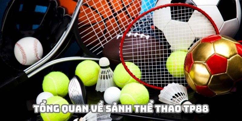 Tổng quan sảnh thể thao Tp88